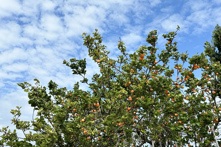 “飛揚(yáng)青春，快樂(lè)出發(fā)”——四川德潤(rùn)信息工程有限公司2023夏季主題團(tuán)建活動(dòng)